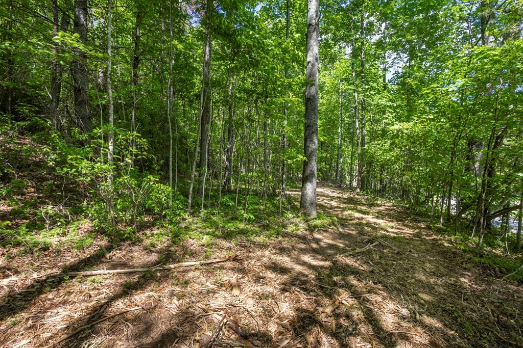 4.2 acre Donley Road, Murphy NC 28906 - Photo