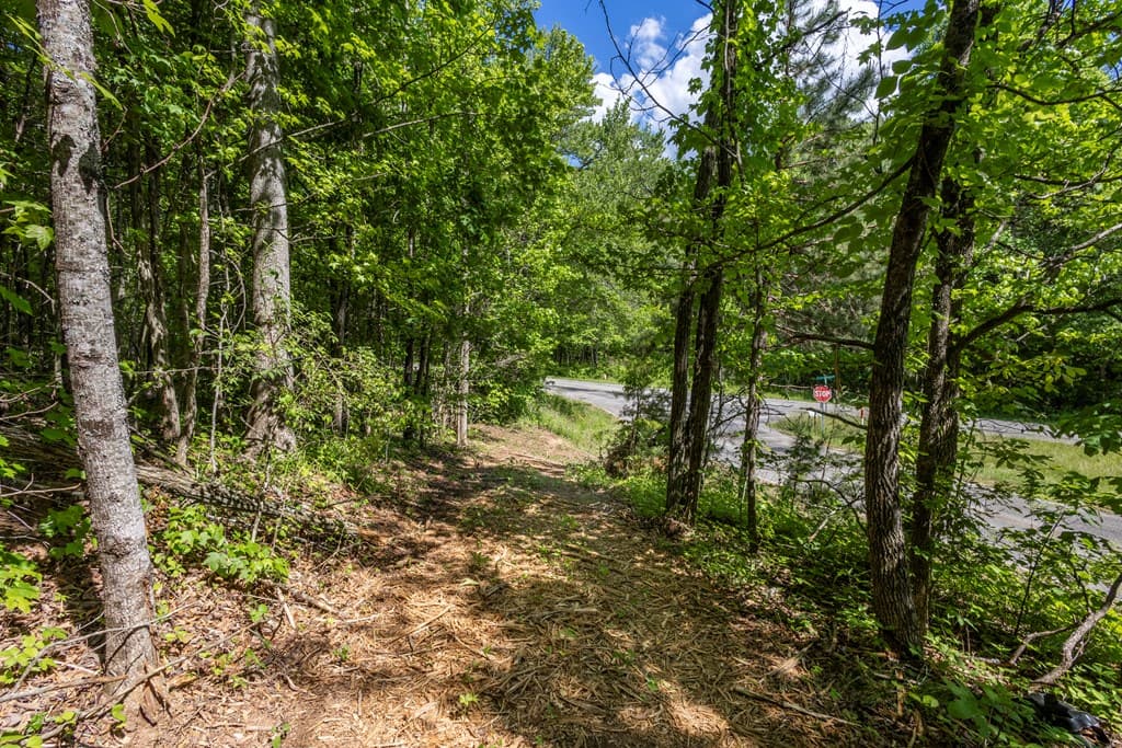 4.2 acre Donley Road, Murphy NC 28906 - Photo