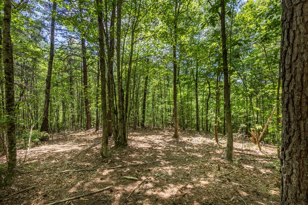 4.0 acre Donley Road, Murphy NC 28906 - Photo