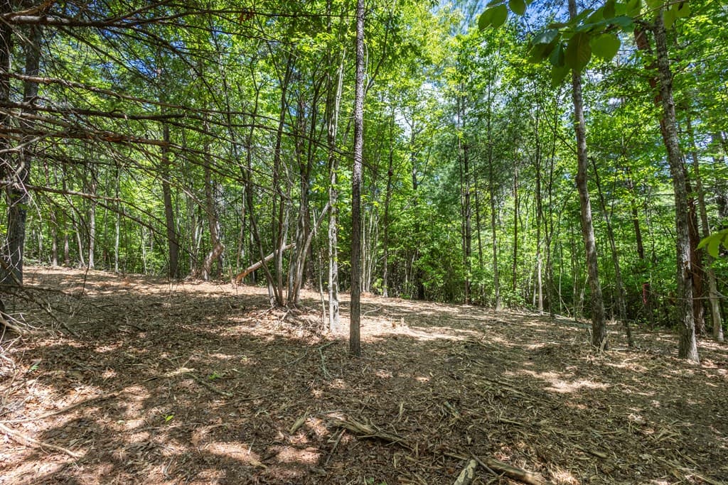 4.0 acre Donley Road, Murphy NC 28906 - Photo