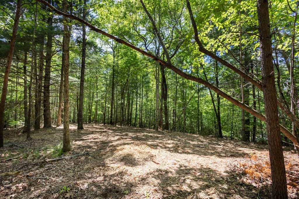 4.0 acre Donley Road, Murphy NC 28906 - Photo