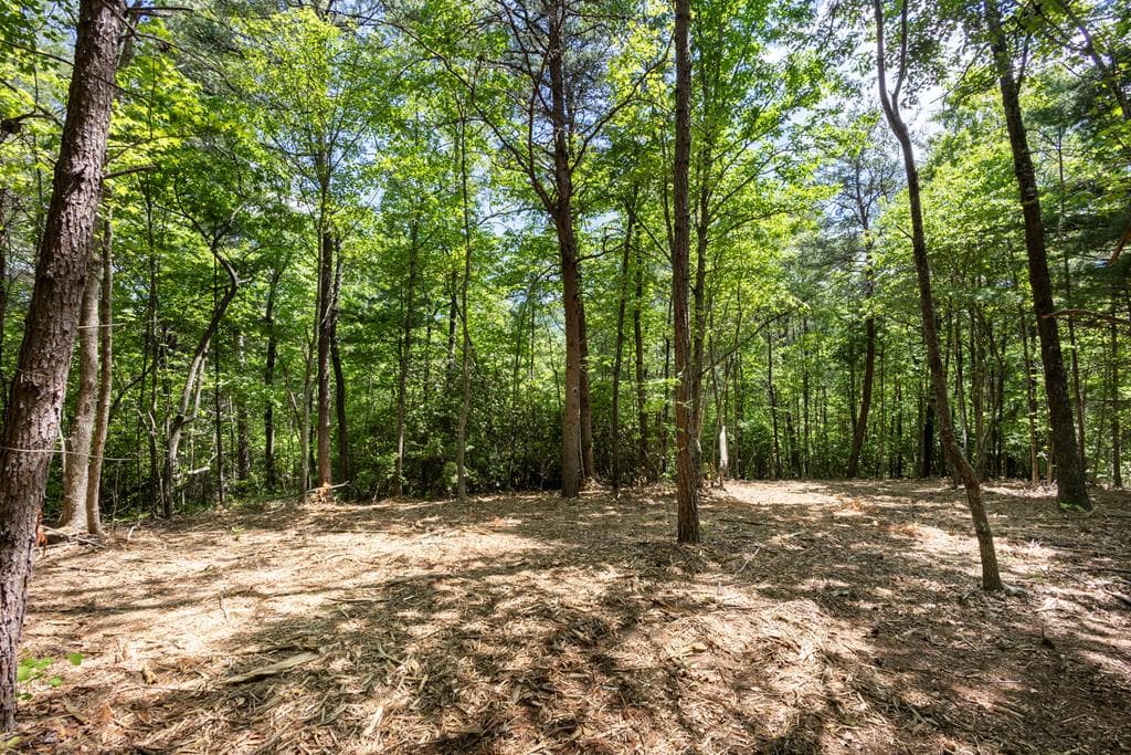4.0 acre Donley Road, Murphy NC 28906 - Primary photo