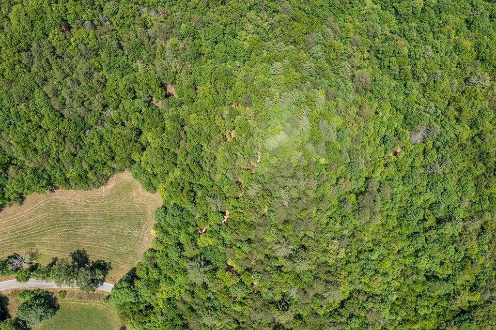 4.0 acre Donley Road, Murphy NC 28906 - Photo
