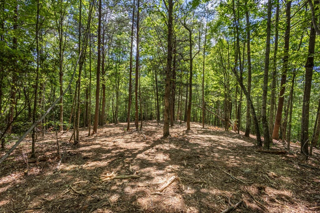 4.0 acre Donley Road, Murphy NC 28906 - Photo