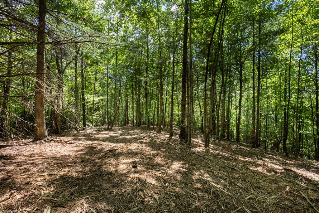 4.0 acre Donley Road, Murphy NC 28906 - Photo
