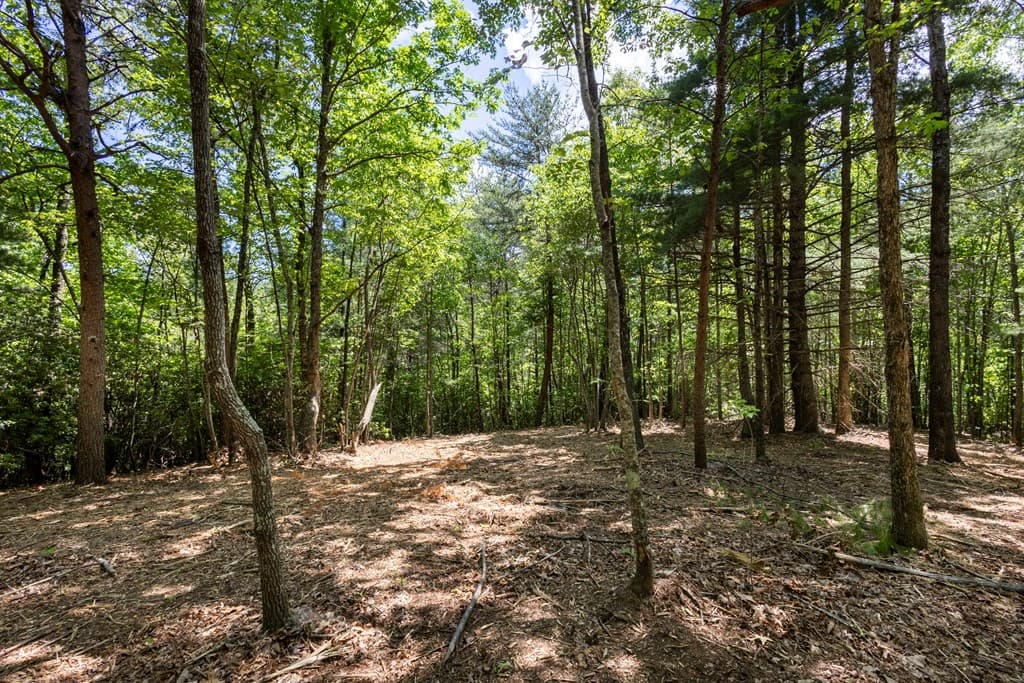 4.0 acre Donley Road, Murphy NC 28906 - Photo