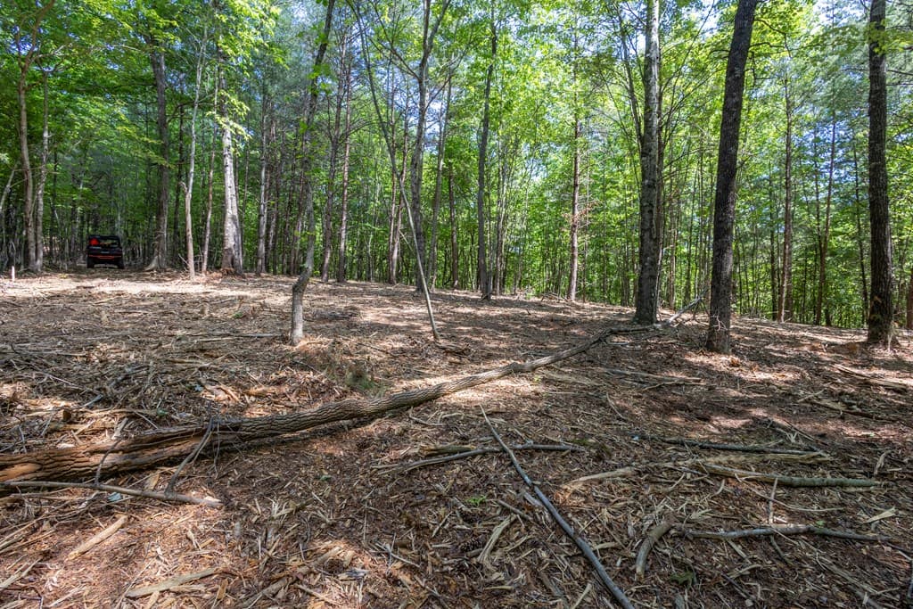 20 Ac Pack Mountain Road, Murphy NC 28906 - Photo