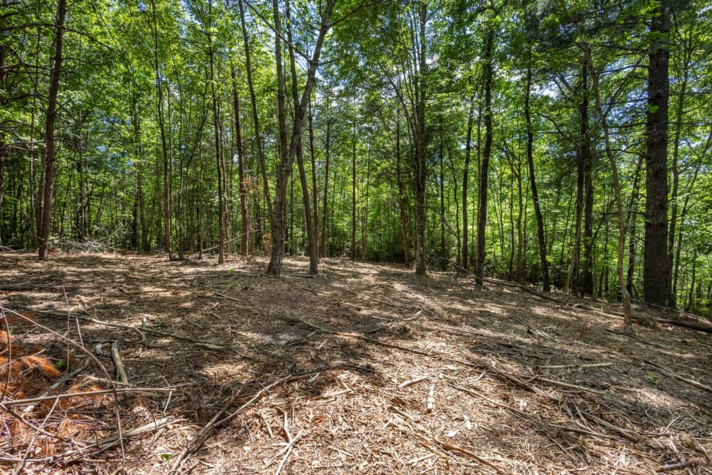 20 Ac Pack Mountain Road, Murphy NC 28906 - Photo