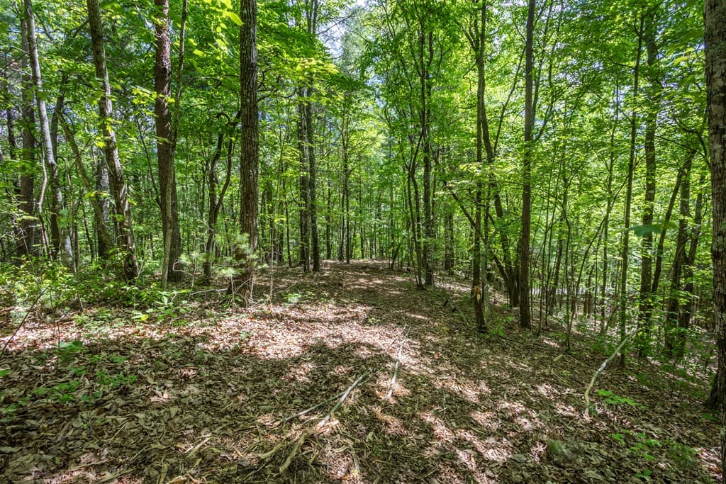 20 Ac Pack Mountain Road, Murphy NC 28906 - Photo