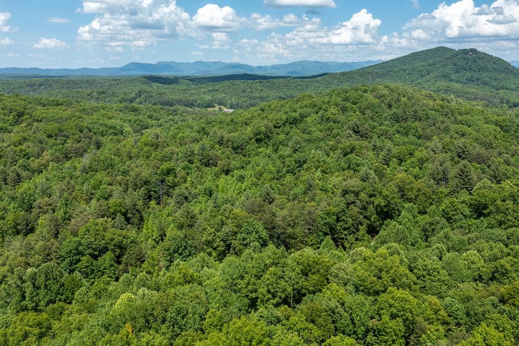 20 Ac Pack Mountain Road, Murphy NC 28906 - Photo