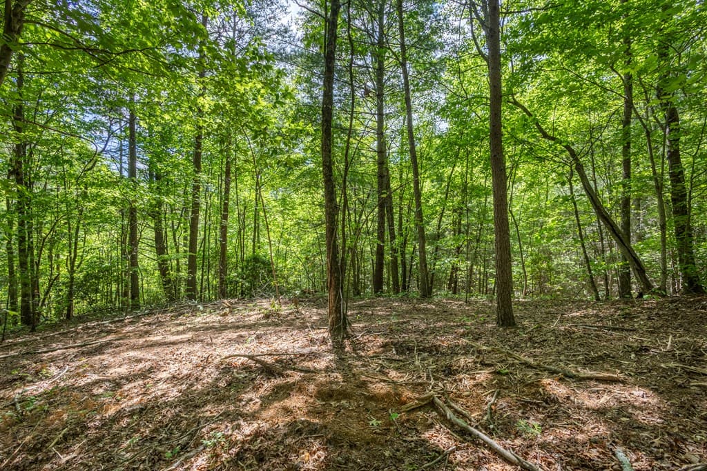 20 Ac Pack Mountain Road, Murphy NC 28906 - Photo