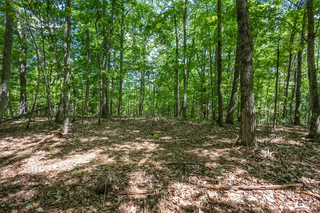 20 Ac Pack Mountain Road, Murphy NC 28906 - Photo