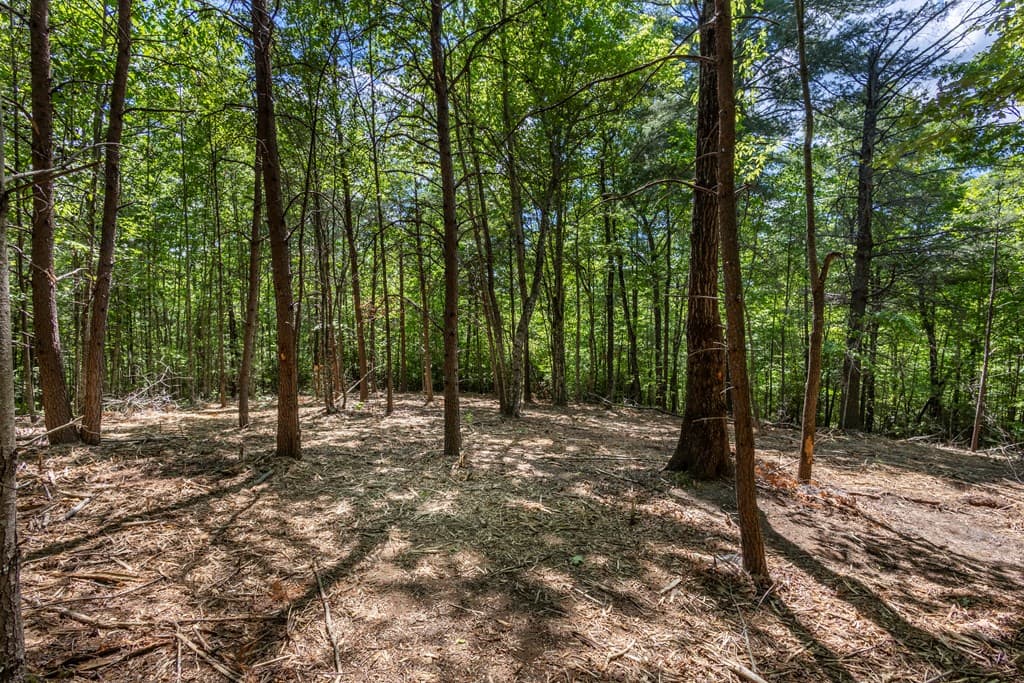 20 Ac Pack Mountain Road, Murphy NC 28906 - Photo
