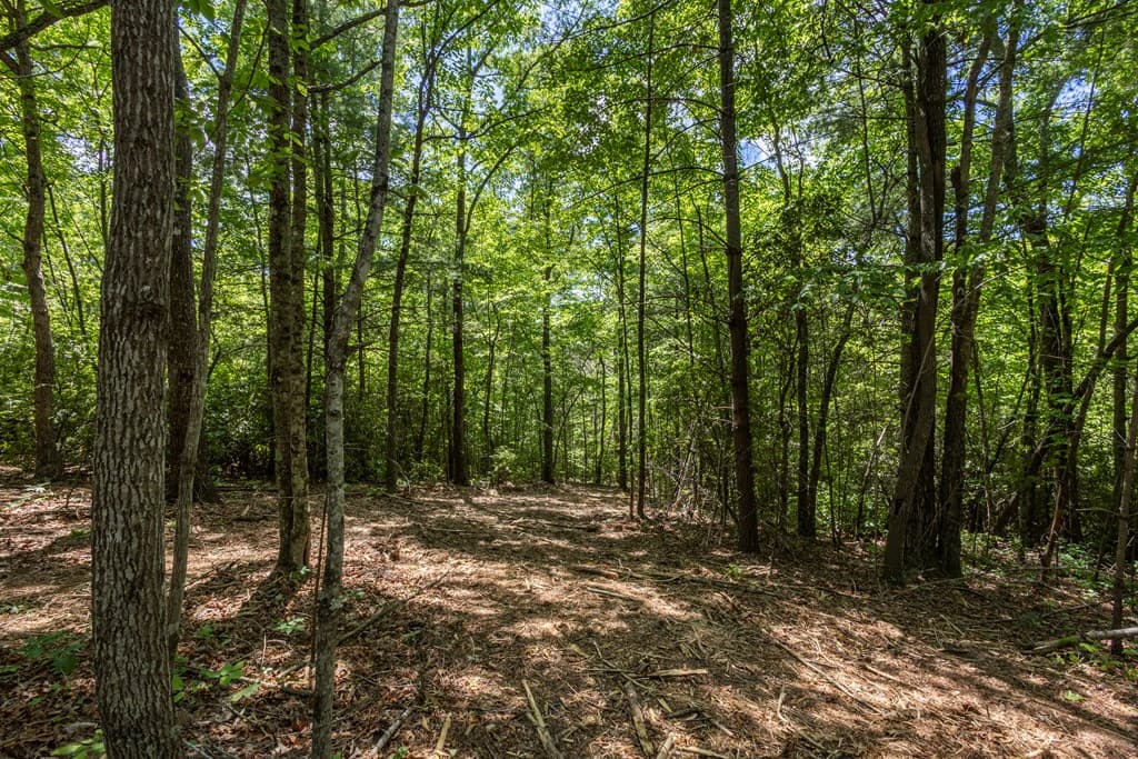 20 Ac Pack Mountain Road, Murphy NC 28906 - Photo