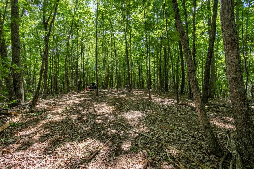 20 Ac Pack Mountain Road, Murphy NC 28906 - Primary photo