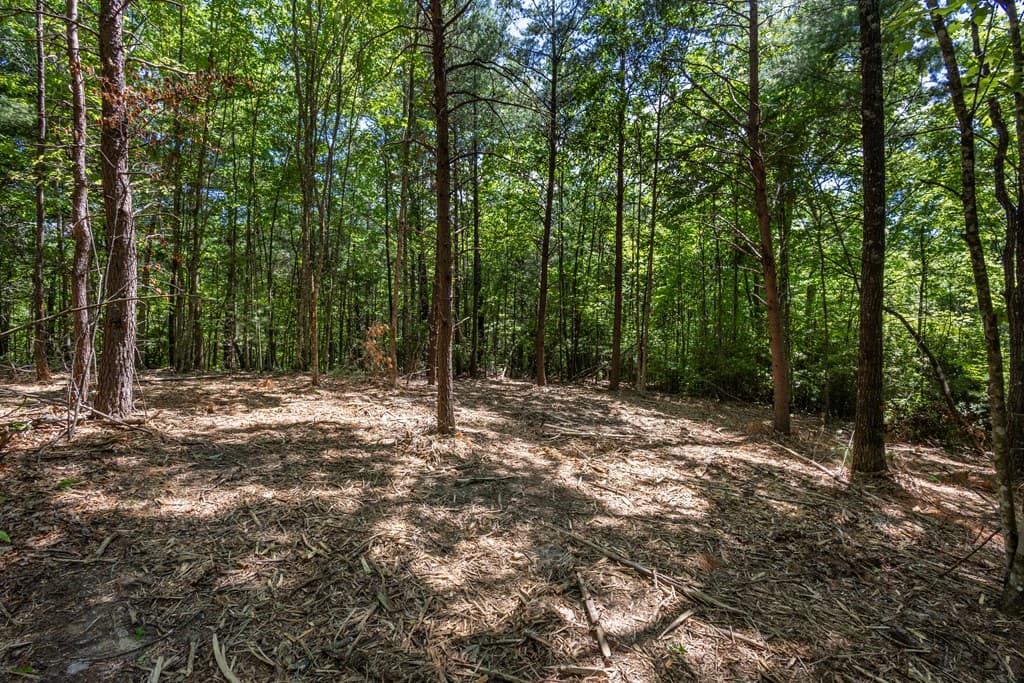 20 Ac Pack Mountain Road, Murphy NC 28906 - Photo
