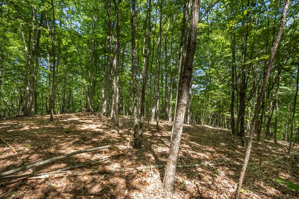 20 Ac Pack Mountain Road, Murphy NC 28906 - Photo