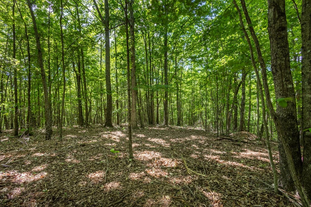 20 Ac Pack Mountain Road, Murphy NC 28906 - Photo