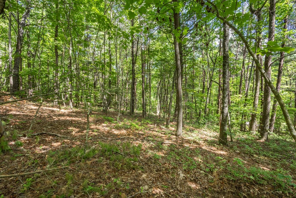 20 Ac Pack Mountain Road, Murphy NC 28906 - Photo