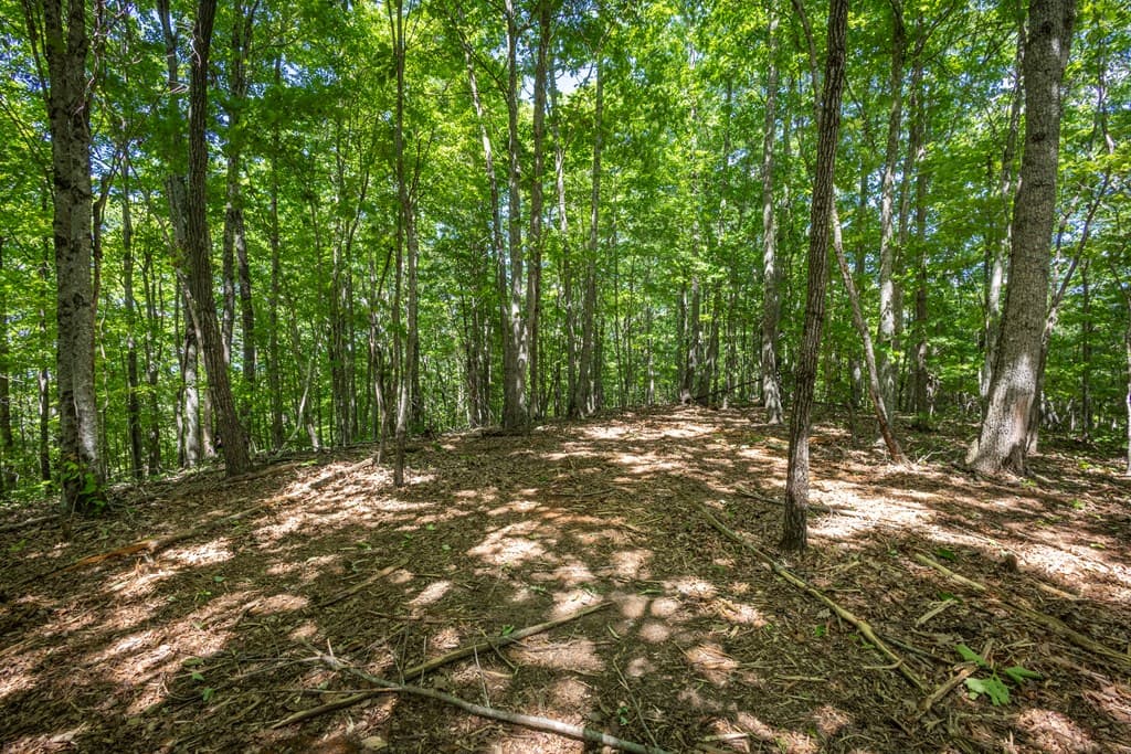 20 Ac Pack Mountain Road, Murphy NC 28906 - Photo