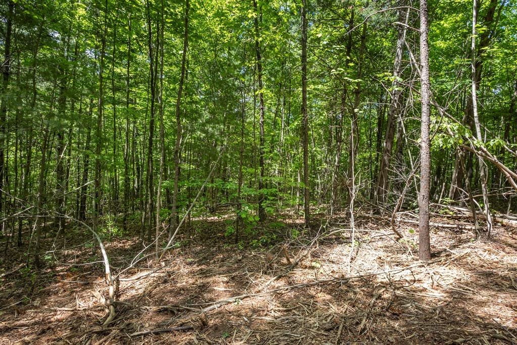 20 Ac Pack Mountain Road, Murphy NC 28906 - Photo