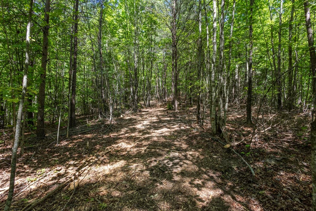 20 Ac Pack Mountain Road, Murphy NC 28906 - Photo