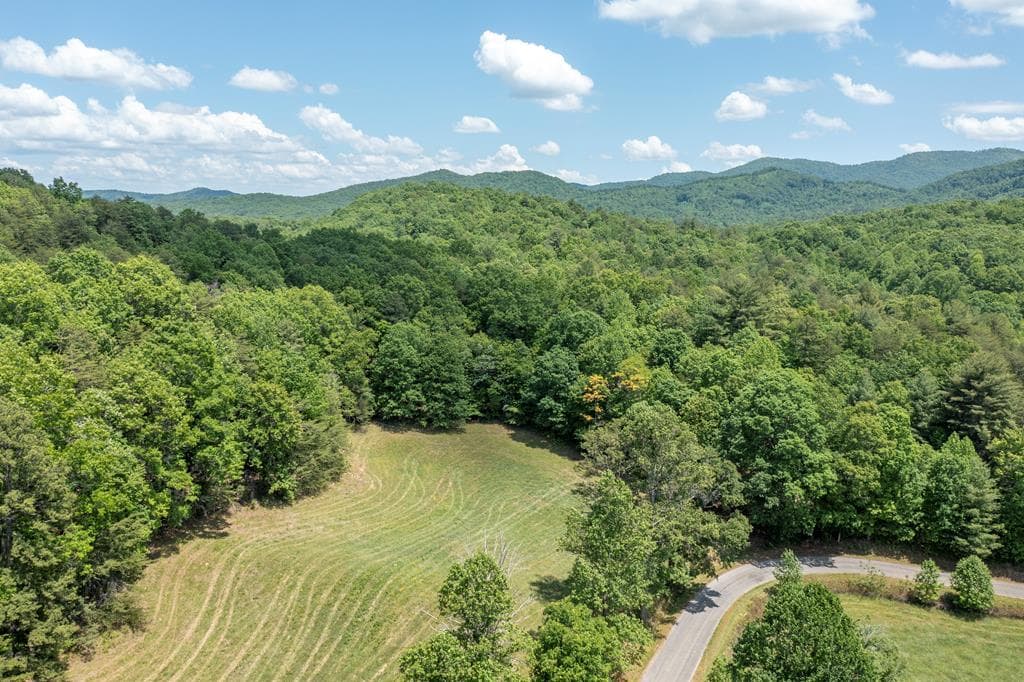 4.3 Ac Donley Road, Murphy NC 28906 - Photo