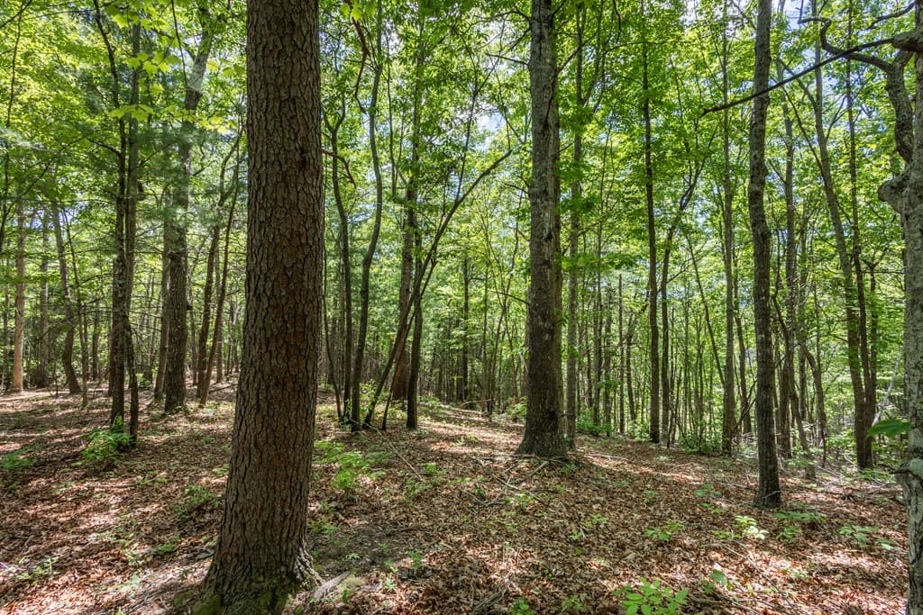 4.3 Ac Donley Road, Murphy NC 28906 - Photo