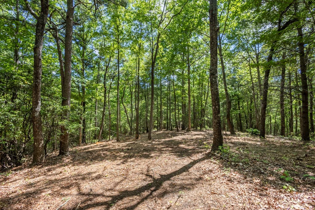 4.3 Ac Donley Road, Murphy NC 28906 - Photo