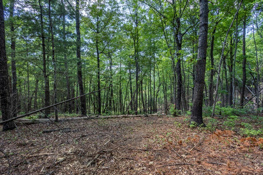 4.3 Ac Donley Road, Murphy NC 28906 - Photo