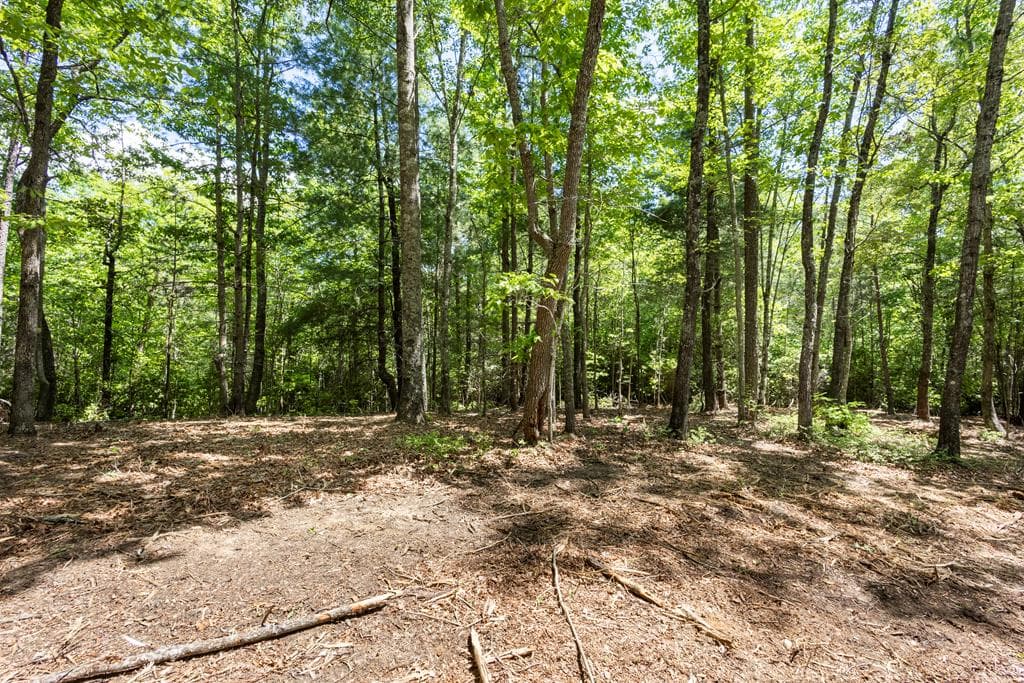 4.3 Ac Donley Road, Murphy NC 28906 - Primary photo
