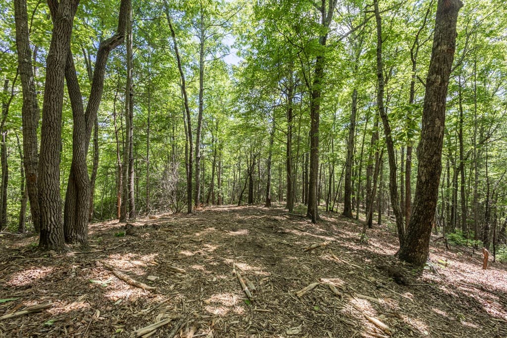 4.3 Ac Donley Road, Murphy NC 28906 - Photo