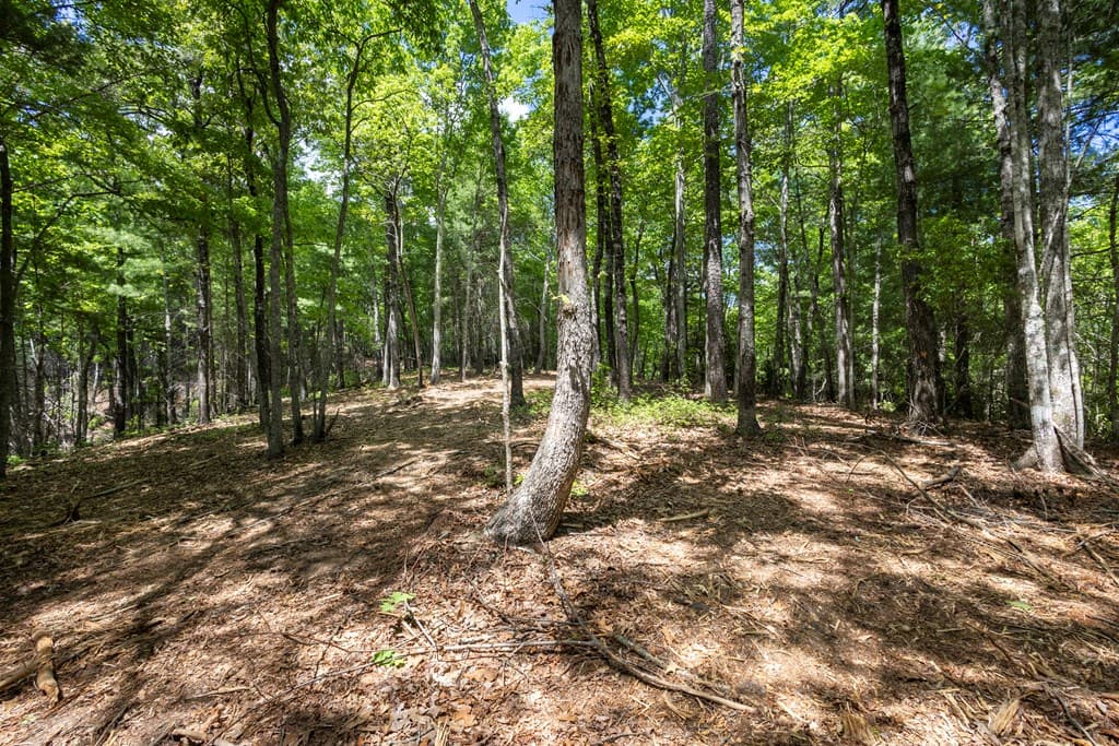 4.3 Ac Donley Road, Murphy NC 28906 - Photo