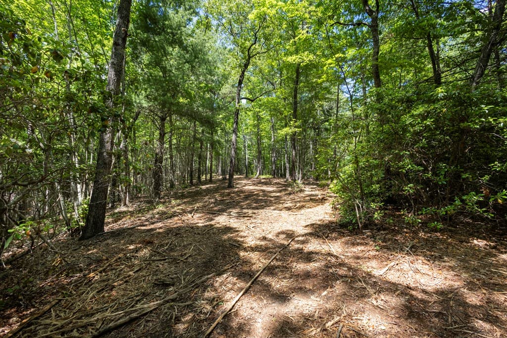 4.3 Ac Donley Road, Murphy NC 28906 - Photo