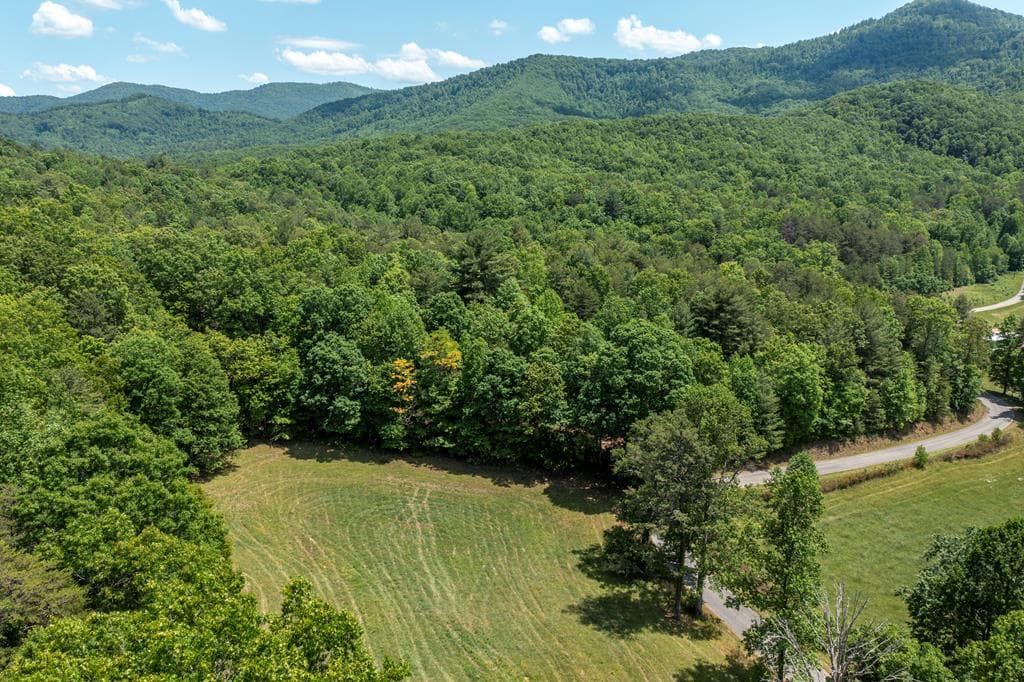 4.3 Ac Donley Road, Murphy NC 28906 - Photo