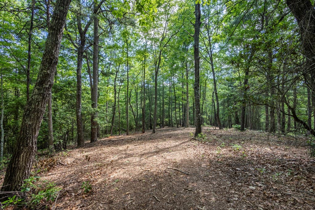 4.3 Ac Donley Road, Murphy NC 28906 - Photo