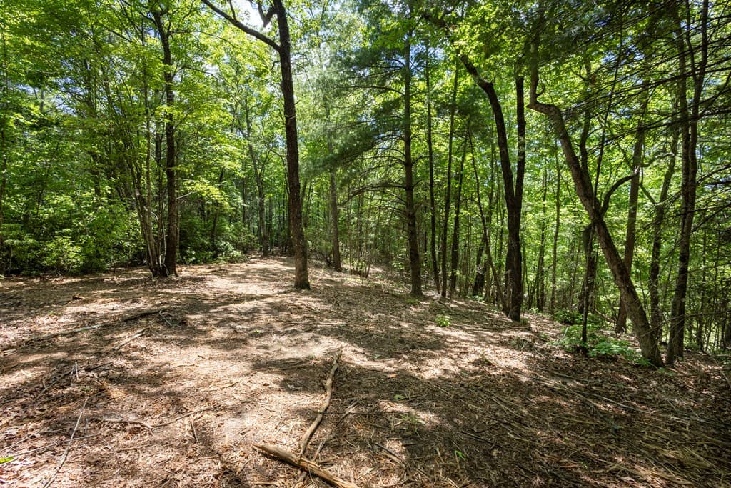 4.3 Ac Donley Road, Murphy NC 28906 - Photo