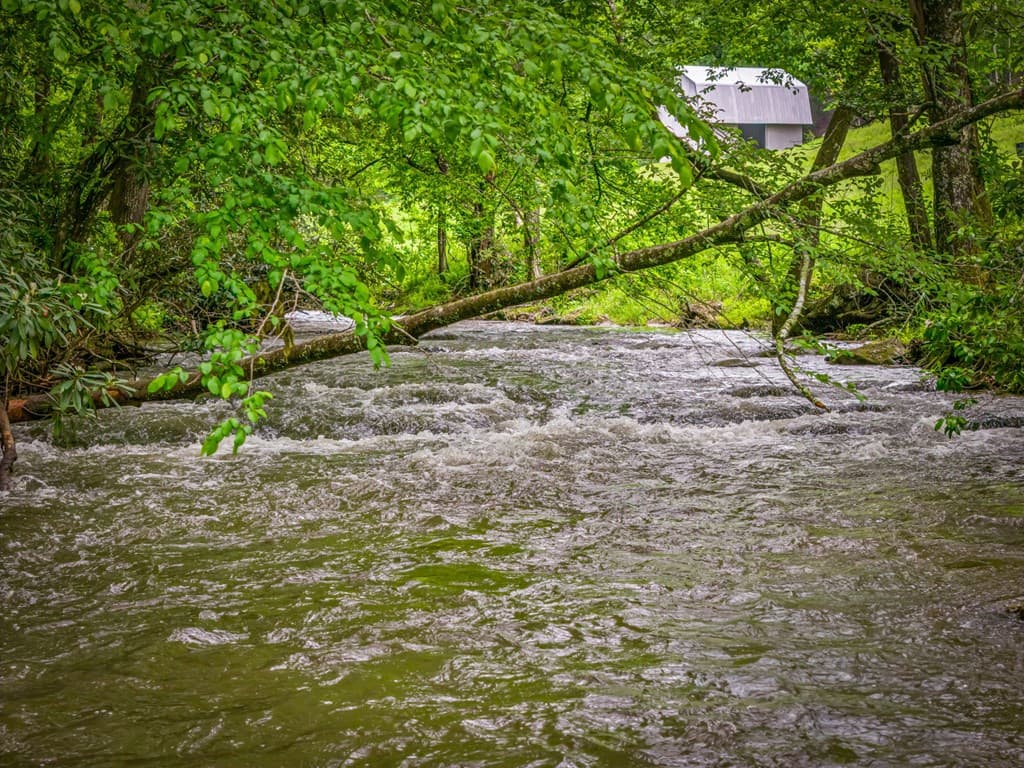 916 Old Cashes Valley Road, Blue Ridge GA 30513 - Photo