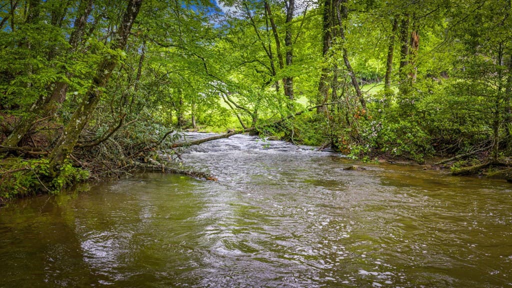 916 Old Cashes Valley Road, Blue Ridge GA 30513 - Photo