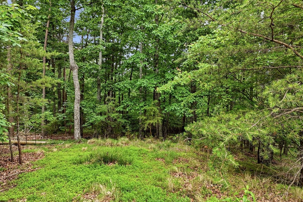 0 Owl Ridge Way, Jasper GA 30143 - Photo