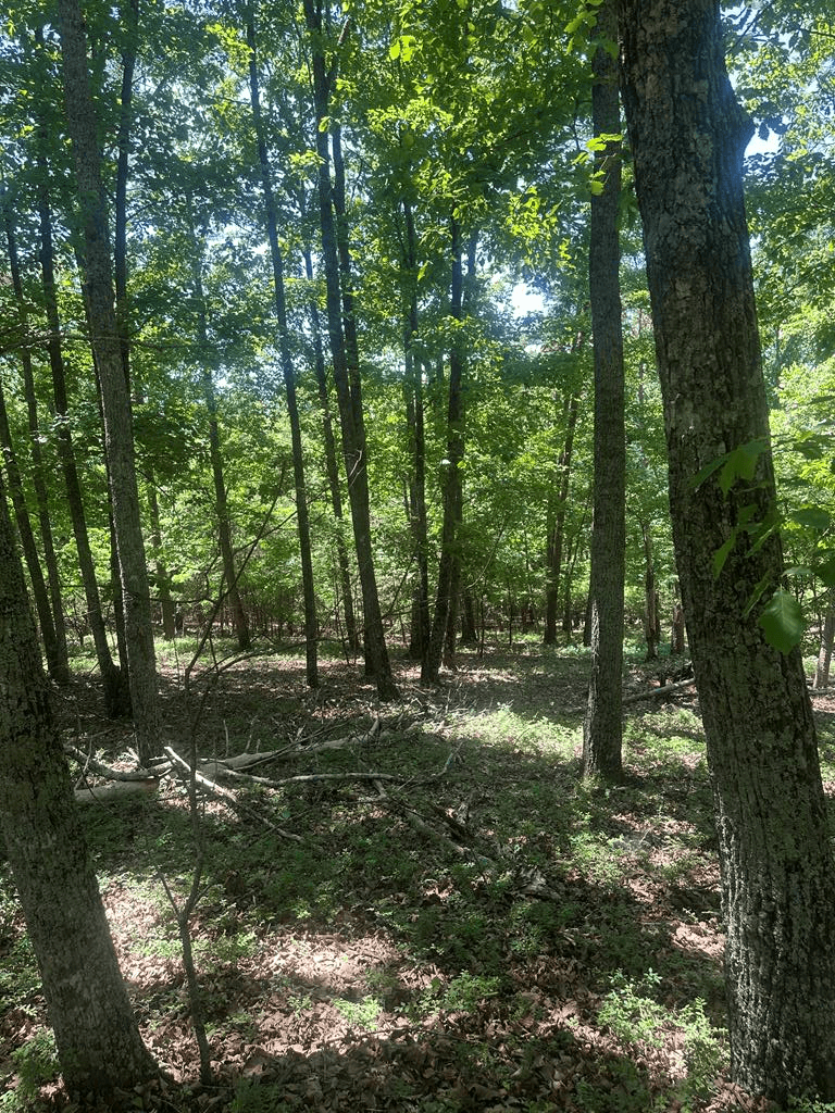 0 Owl Ridge Way, Jasper GA 30143 - Primary photo