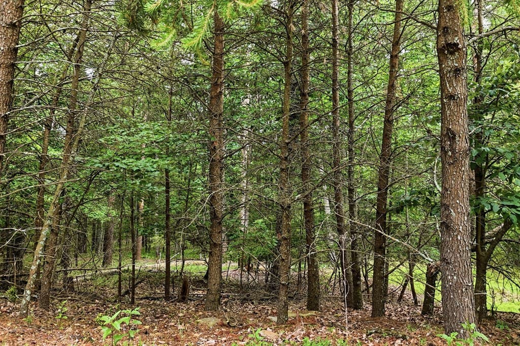 0 Owl Ridge Way, Jasper GA 30143 - Photo
