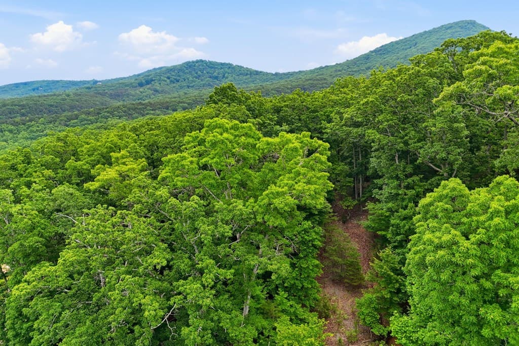 0 Owl Ridge Way, Jasper GA 30143 - Photo