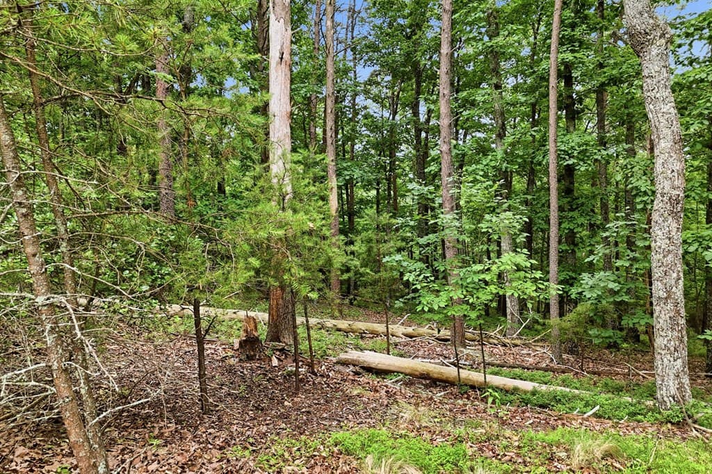0 Owl Ridge Way, Jasper GA 30143 - Photo