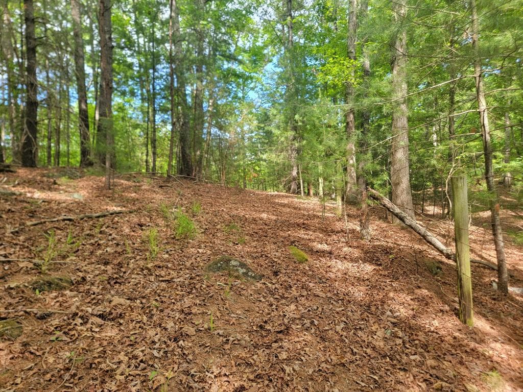 Lot 44 Sugar Maple Lane, Murphy NC 28906 - Photo