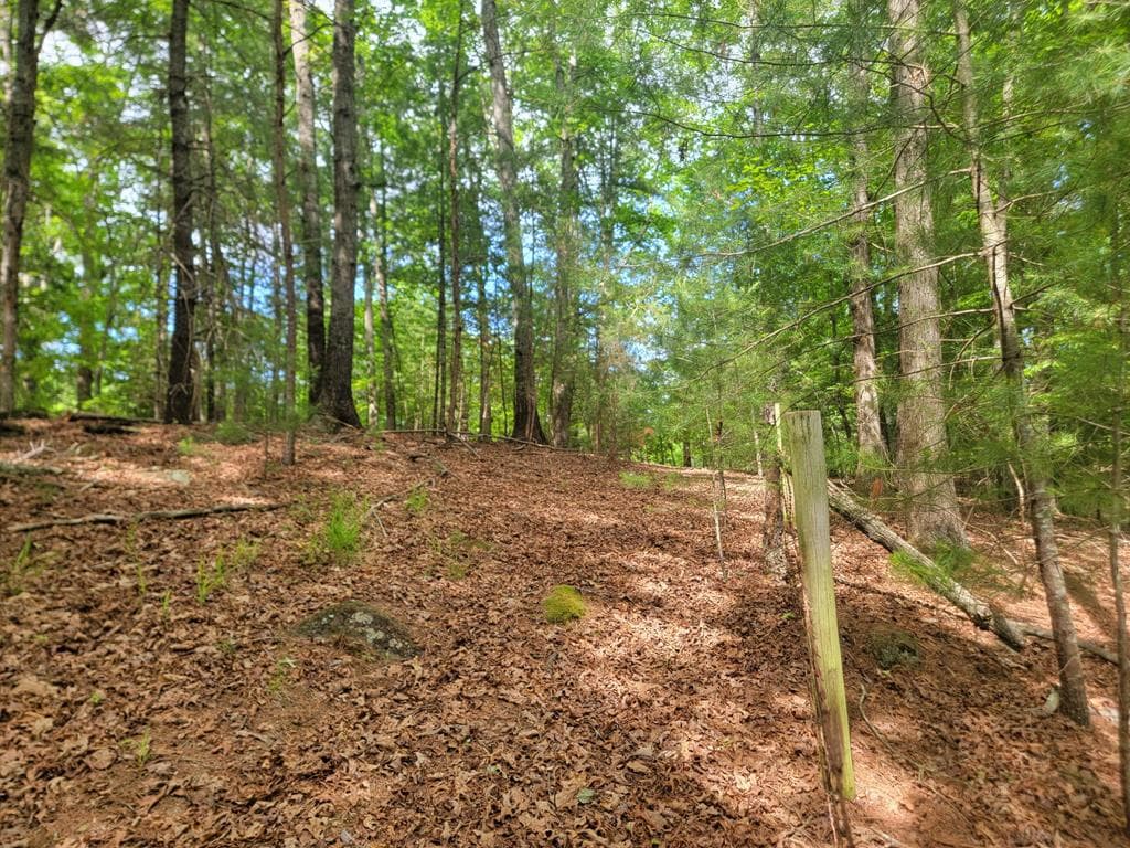 Lot 44 Sugar Maple Lane, Murphy NC 28906 - Photo