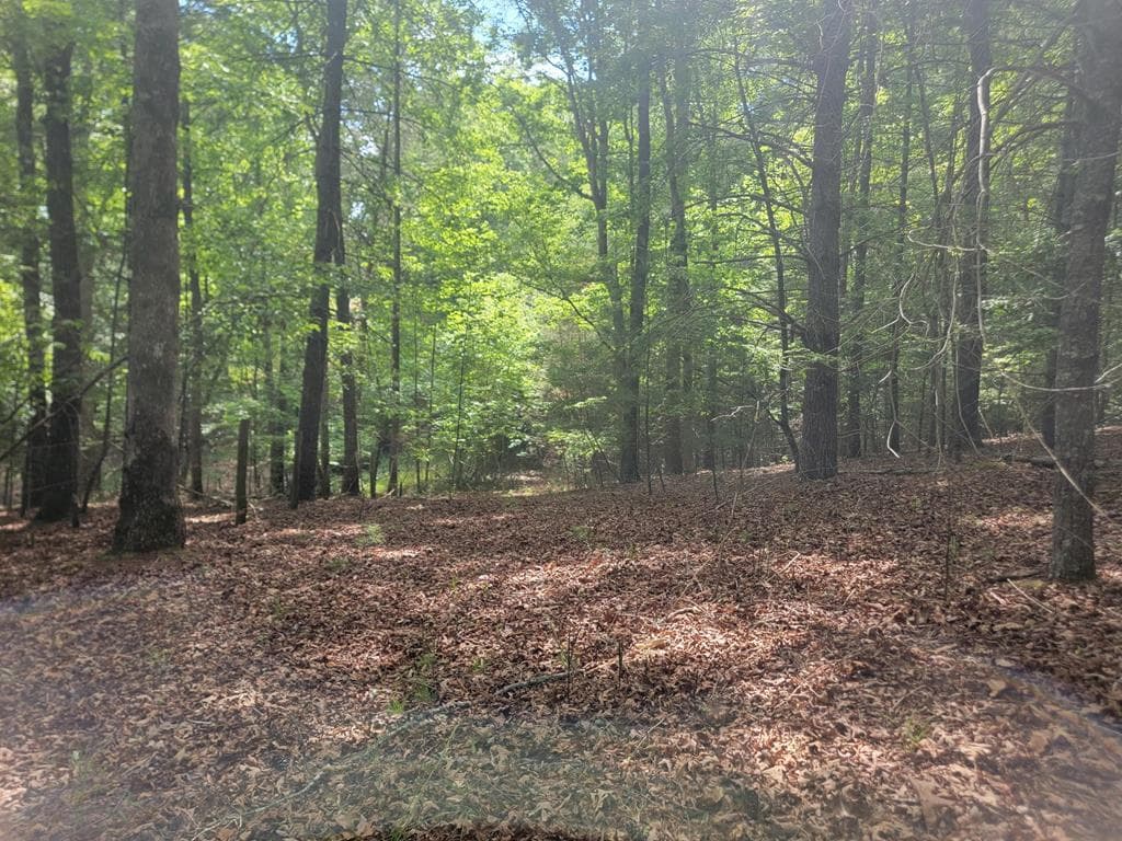 Lot 44 Sugar Maple Lane, Murphy NC 28906 - Photo