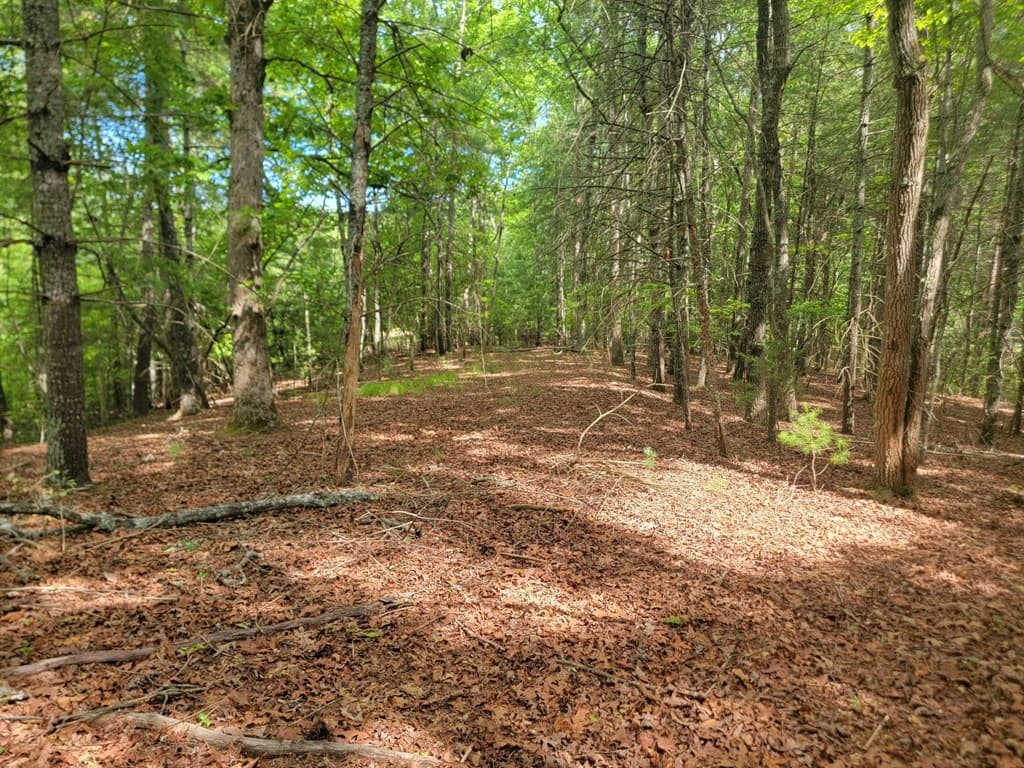 Lot 44 Sugar Maple Lane, Murphy NC 28906 - Photo