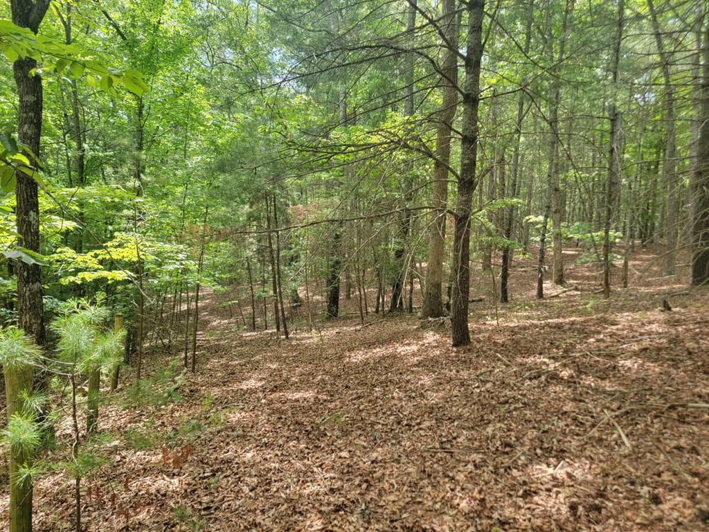 Lot 44 Sugar Maple Lane, Murphy NC 28906 - Photo