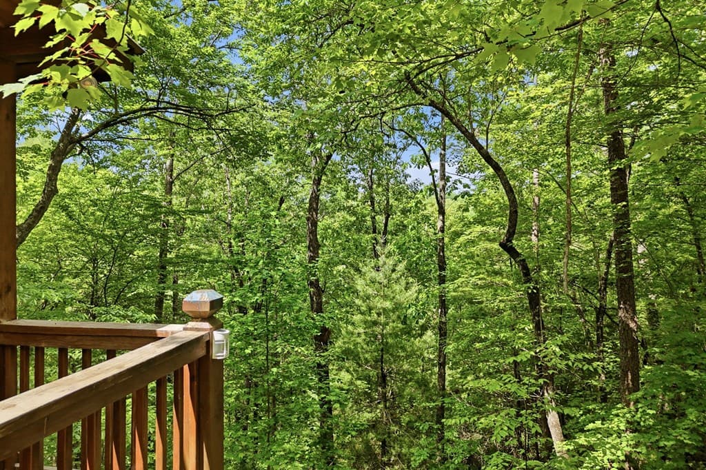 156 Dupont Drive, Blue Ridge GA 30513 - Photo